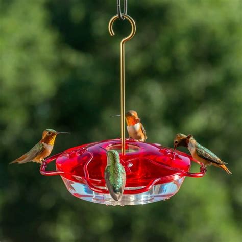 40 Awesome Hummingbird Feeders For Garden And Patio