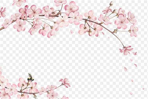 Pink Cherry Blossom Flower Branch Border Free Stock Illustration