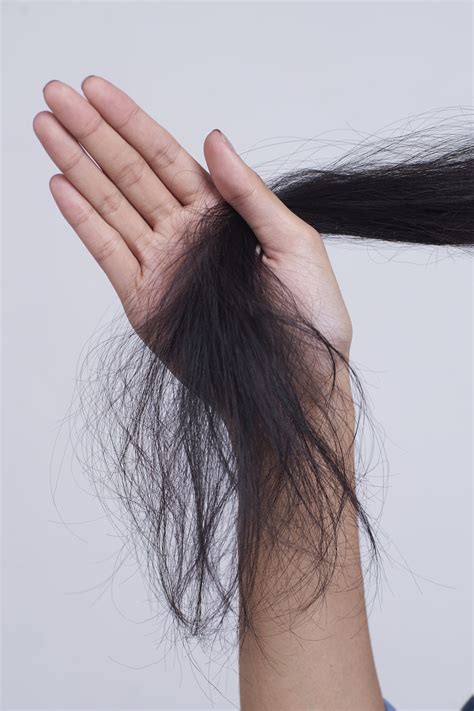 7 Cara Mengatasi Rambut Kering Dan Mengembang Kenali Penyebabnya Images