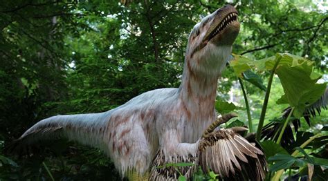 Meet Real Life Dinosaurs At The Woodland Park Zoos Newest Exhibit Listed