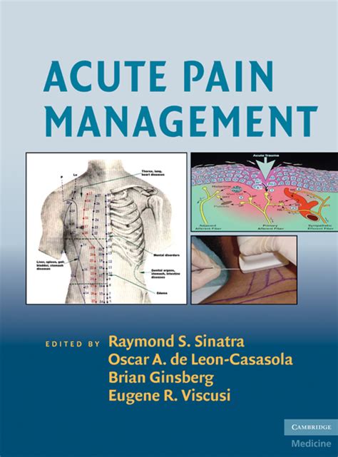 Pathophysiology Of Acute Pain Chapter 2 Acute Pain Management