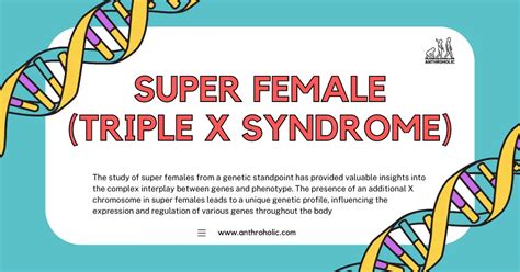 Super Female Triple X Syndrome Anthroholic