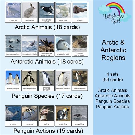 Polar Animals Arctic Animals Antarctic Animals Penguins Flash