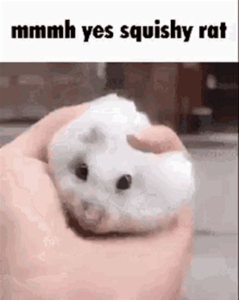 Cute White Squishy Rat 