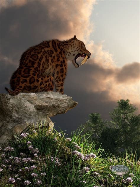 47 Best Images About Sabertooth Cats On Pinterest Cats Ice Age And
