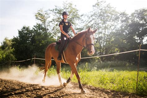 Things to do in windham. Windham NY | Horseback Riding near Albergo Allegria