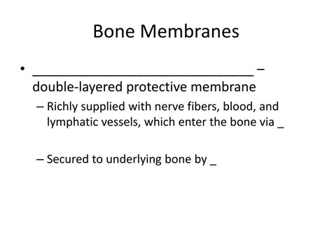 Ppt Function Of Bones Powerpoint Presentation Free Download Id1872371