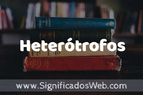 Concepto De Heterótrofos ️¿que Es Definición Y Significado
