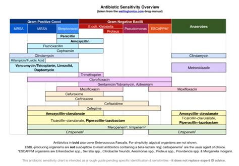 Antibiotic Chart Printable