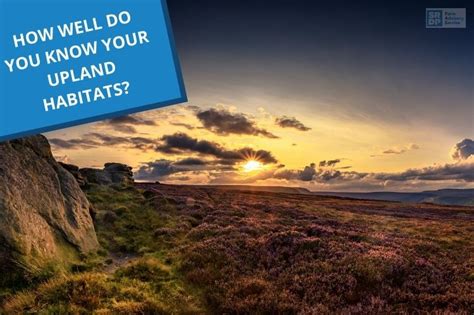 How Well Do You Know Your Upland Habitats Information Helping