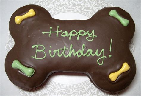 Happy Birthday Bird Brains And Dog Tales