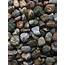 Tumbled Stones  Jasper Rainforest Rhyolite 250g