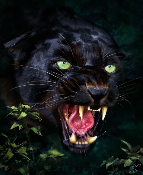 Jaguar Predator Black Animal Muzzle Art Wallpaper Jaguar Animal