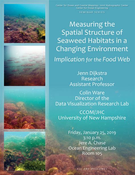 Measuring The Spatial Structure Of Seaweed Habitats In A Changing