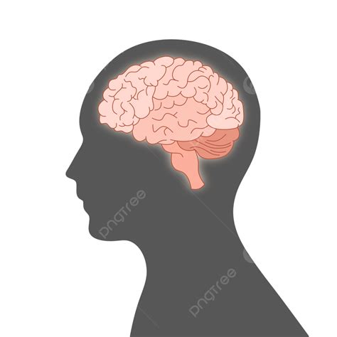 Side Profile Brain Silhouette Silhouette Brain Side Profile Png