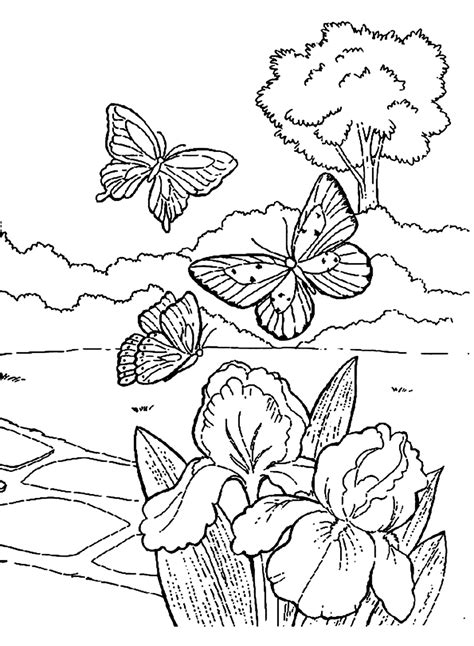 Butterflies Flying In Spring Coloring Page Free Printable Coloring Pages