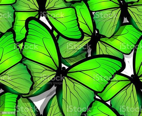 Seamless Butterfly Pattern Wings On White Stock Illustration Download