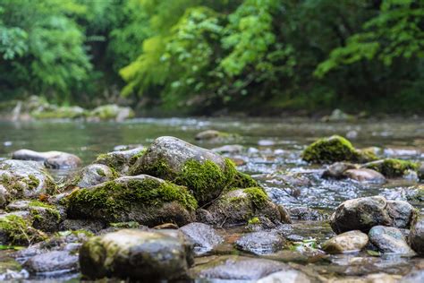 Mountain River Flowing Through The Green Forest Rapid Flow Over Rock Covered With Moss