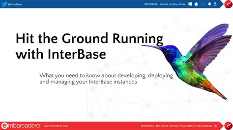 Hit The Ground Running With Interbase Dimensional Data