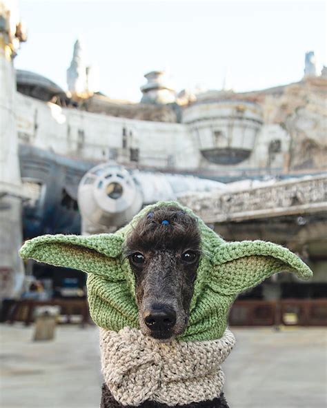 The Best Yoda And Baby Yoda Patterns For Makers Who Knit Hats Stockings