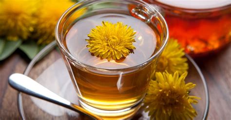Los antioxidantes son moléculas que ayudan a neutralizar o prevenir los efectos negativos de los radicales libres en el cuerpo. Infusión de diente de león ¡Beneficios y Propiedades! 【2019】
