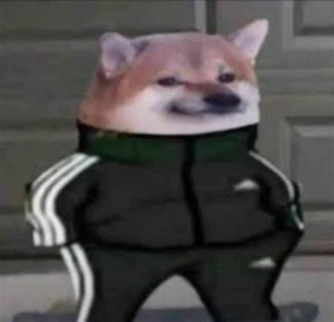 Slav Doge Blank Template Imgflip