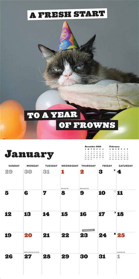 Grumpy Cat Calendar 2020 At Calendar Club