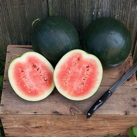 Sugar Baby Watermelon Seeds 802