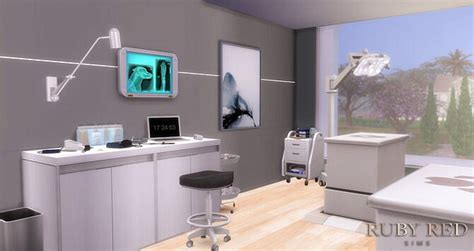 Vet Clinic And Pet Shop At Ruby Red Sims 4 Updates