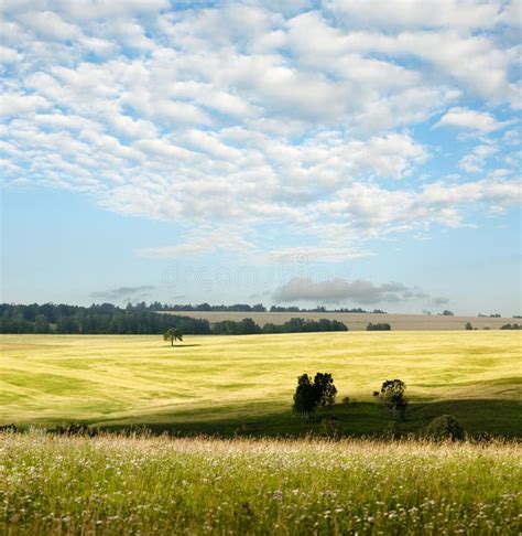 Landscape And Cloudy Sky Stock Photo Image Of Agriculture 18795304