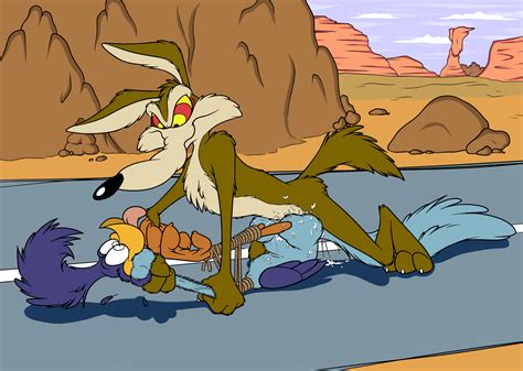 Rule 34 Bird Brown Fur Canine Coyote Day Interspecies Looney Tunes