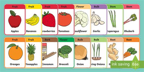 Plant Parts We Eat Flashcards Teacher Made