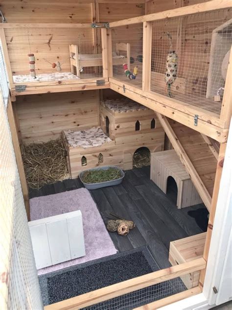 A Fantastic Set Up Here For Bunnies To Have So Much Fun In Thank You