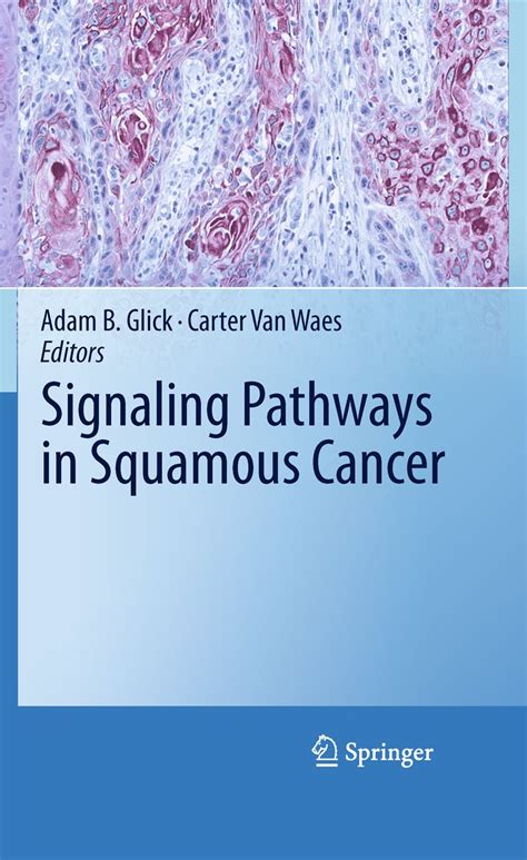 Signaling Pathways In Squamous Cancer Ebook Glick Adam B Waes Carter Van Amazon Ca Books