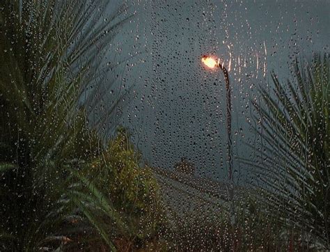 Aesthetic Rain Grunge Light Weather Tumblr Theme Details