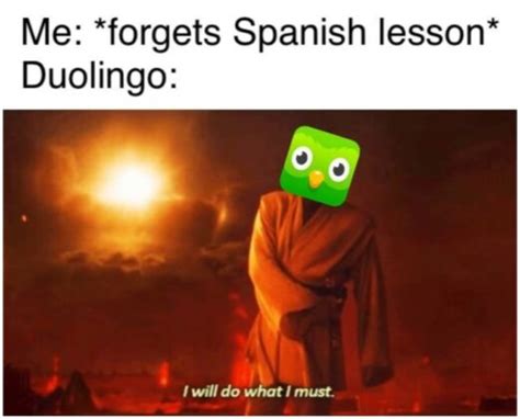 25 Funny Duolingo Memes That Are Slightly Threatening AMJ