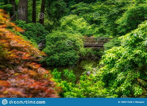 Japanese Maple And Bridge At The Portland Japanese Garden Stock Photo