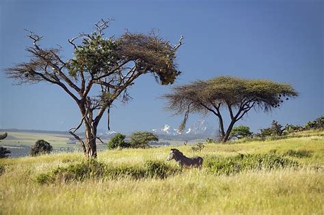 Mount Kenya Worldatlas