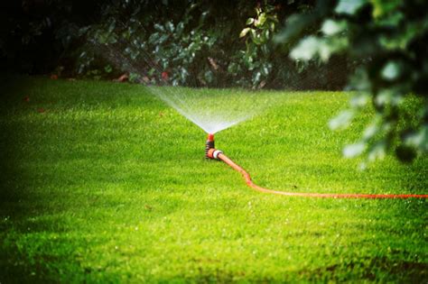 Are you worried about your lawn during this unrelenting heat? Seven Habits of Homeowners With Perfectly Manicured Lawns | Hometalk