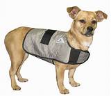 Cooling Dog Vest Images