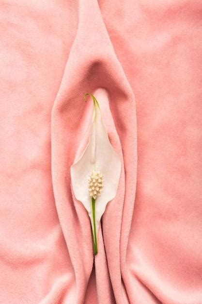 Flowers That Resemble Female Anatomy Natural Beauty Mirage Or Blooming Reality OATUU