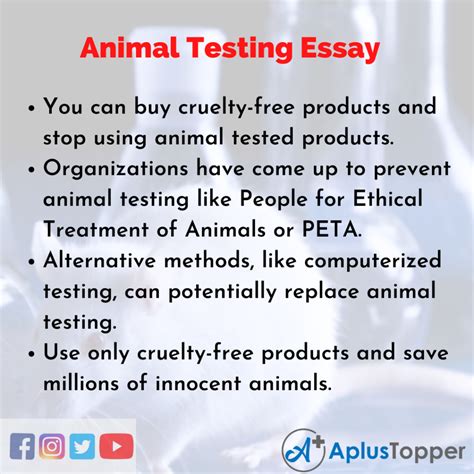 Animal Testing Essay Essay On Animal Testing For Students And