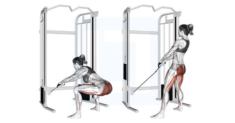 Cable Standing Hip Thrust Guide Benefits And Form