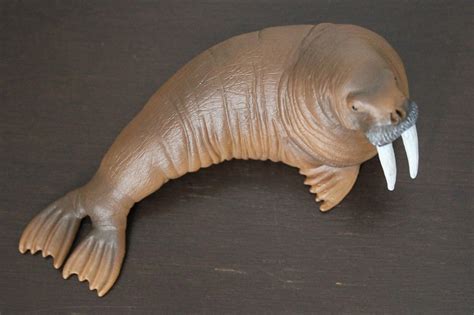 Walrus Wild Life By Schleich Animal Toy Blog