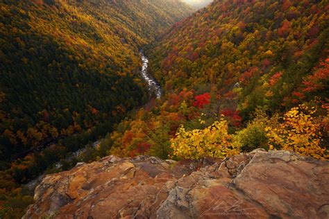 West Virginia Fall Colors Near Blackwater Falls State Park 2048x1367