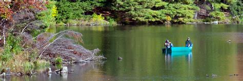 National and state parks richmond national battlefield park rio grande wild & scenic river river raisin national battlefield park rock creek park rocky mountain national park roger williams national memorial roosevelt campobello international park rosie the. Hills Creek State Park | visitPA