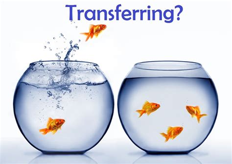 Transferring Life As A Transfer Student Rambassadors