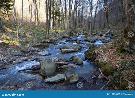 Mountain River Flows Through The Forest In Springtime Stock Image
