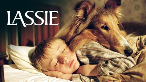 Lassie Movie 2005