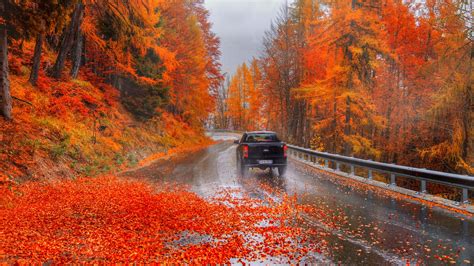 Black Car On Road Between Red Yellow Green Autumn Leaves Trees Forest
